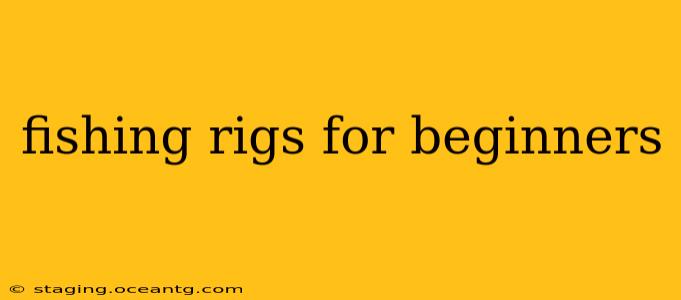 fishing rigs for beginners
