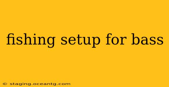 fishing setup for bass