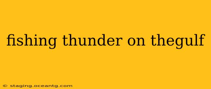 fishing thunder on thegulf