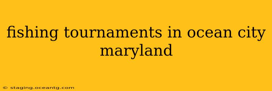 fishing tournaments in ocean city maryland