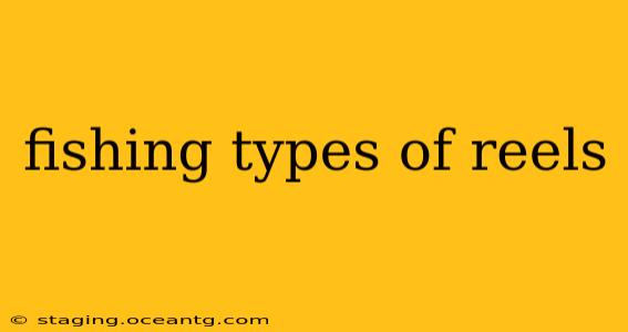 fishing types of reels