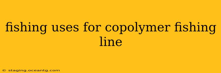 fishing uses for copolymer fishing line