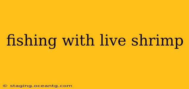fishing with live shrimp