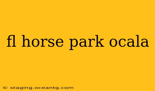fl horse park ocala