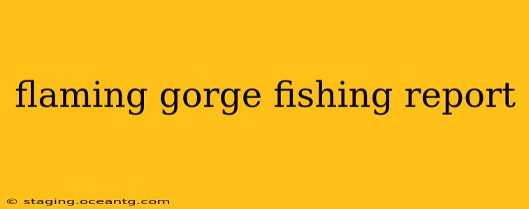 flaming gorge fishing report