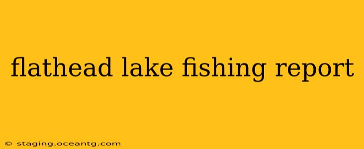 flathead lake fishing report
