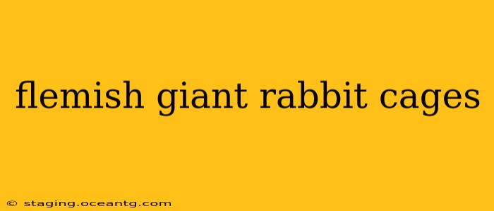 flemish giant rabbit cages