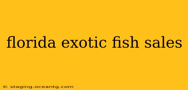 florida exotic fish sales