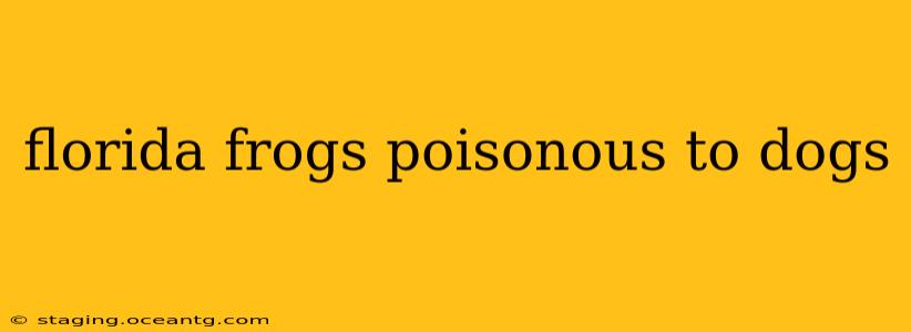 florida frogs poisonous to dogs