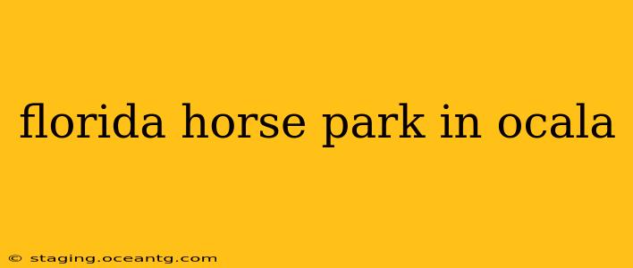 florida horse park in ocala