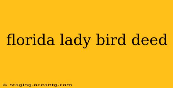 florida lady bird deed