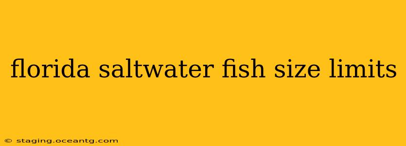 florida saltwater fish size limits