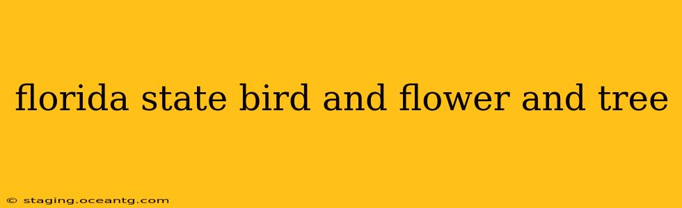 florida state bird and flower and tree