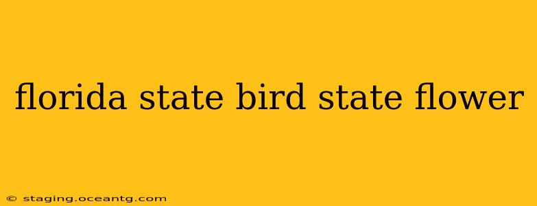 florida state bird state flower