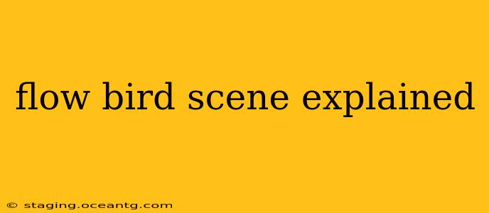 flow bird scene explained