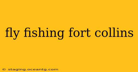 fly fishing fort collins