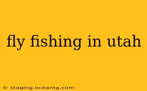 fly fishing in utah