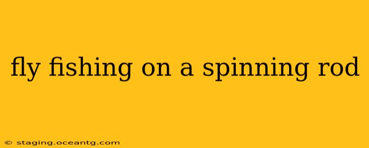 fly fishing on a spinning rod