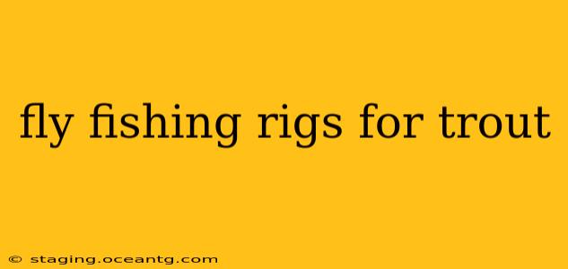 fly fishing rigs for trout