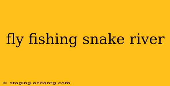 fly fishing snake river