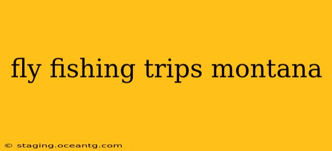 fly fishing trips montana