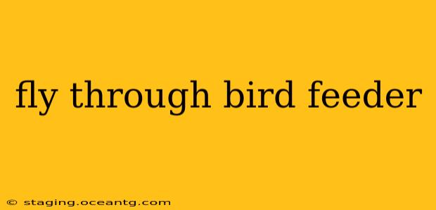 fly through bird feeder