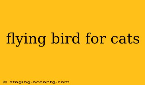 flying bird for cats
