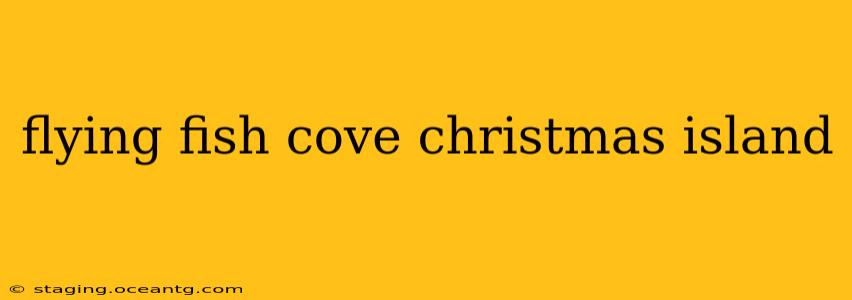 flying fish cove christmas island