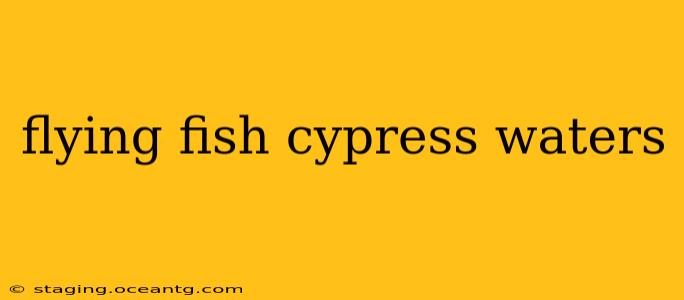 flying fish cypress waters