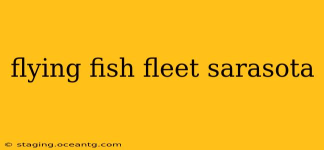 flying fish fleet sarasota