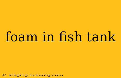 foam in fish tank