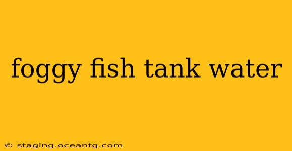 foggy fish tank water