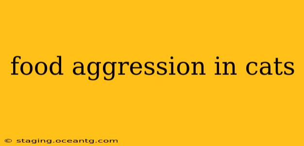 food aggression in cats