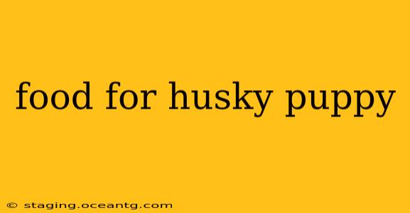 food for husky puppy