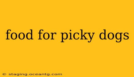 food for picky dogs