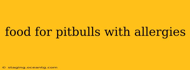 food for pitbulls with allergies