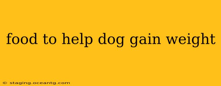 food to help dog gain weight
