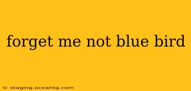 forget me not blue bird
