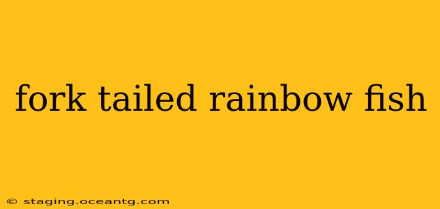 fork tailed rainbow fish