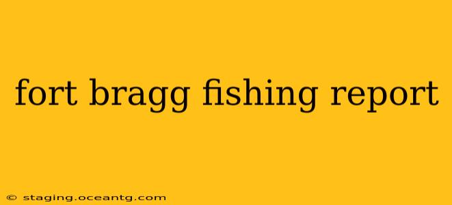 fort bragg fishing report