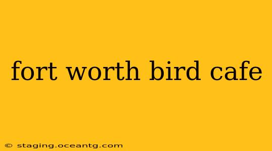 fort worth bird cafe