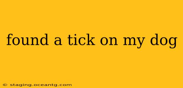 found a tick on my dog
