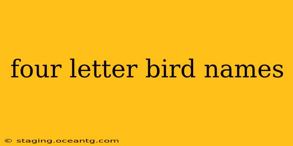 four letter bird names