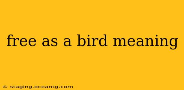 free as a bird meaning