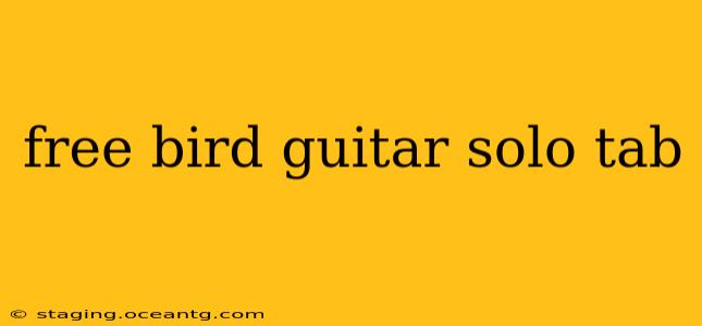 free bird guitar solo tab