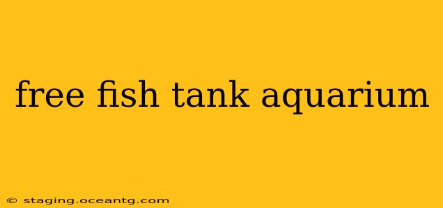 free fish tank aquarium