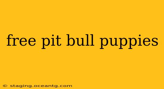 free pit bull puppies