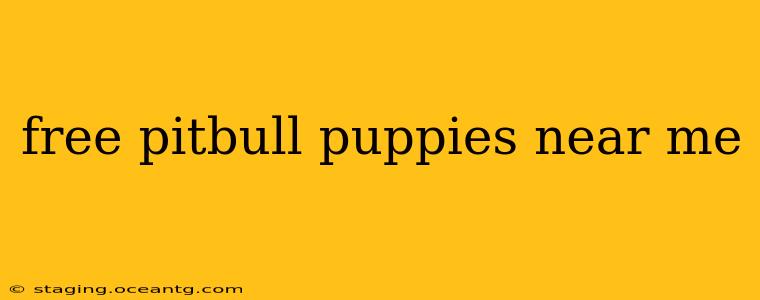 free pitbull puppies near me