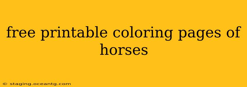 free printable coloring pages of horses