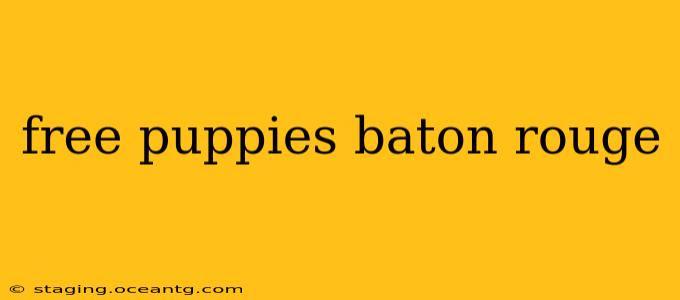 free puppies baton rouge